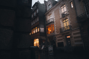 Lutte contre les nuisibles Rennes